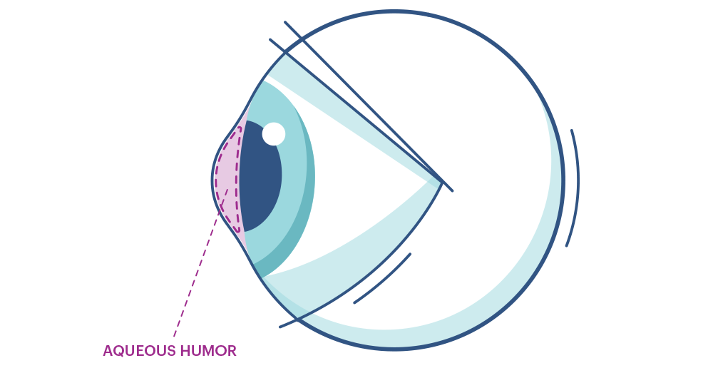 Grafika oka z zaznaczoną warstwą wodną
